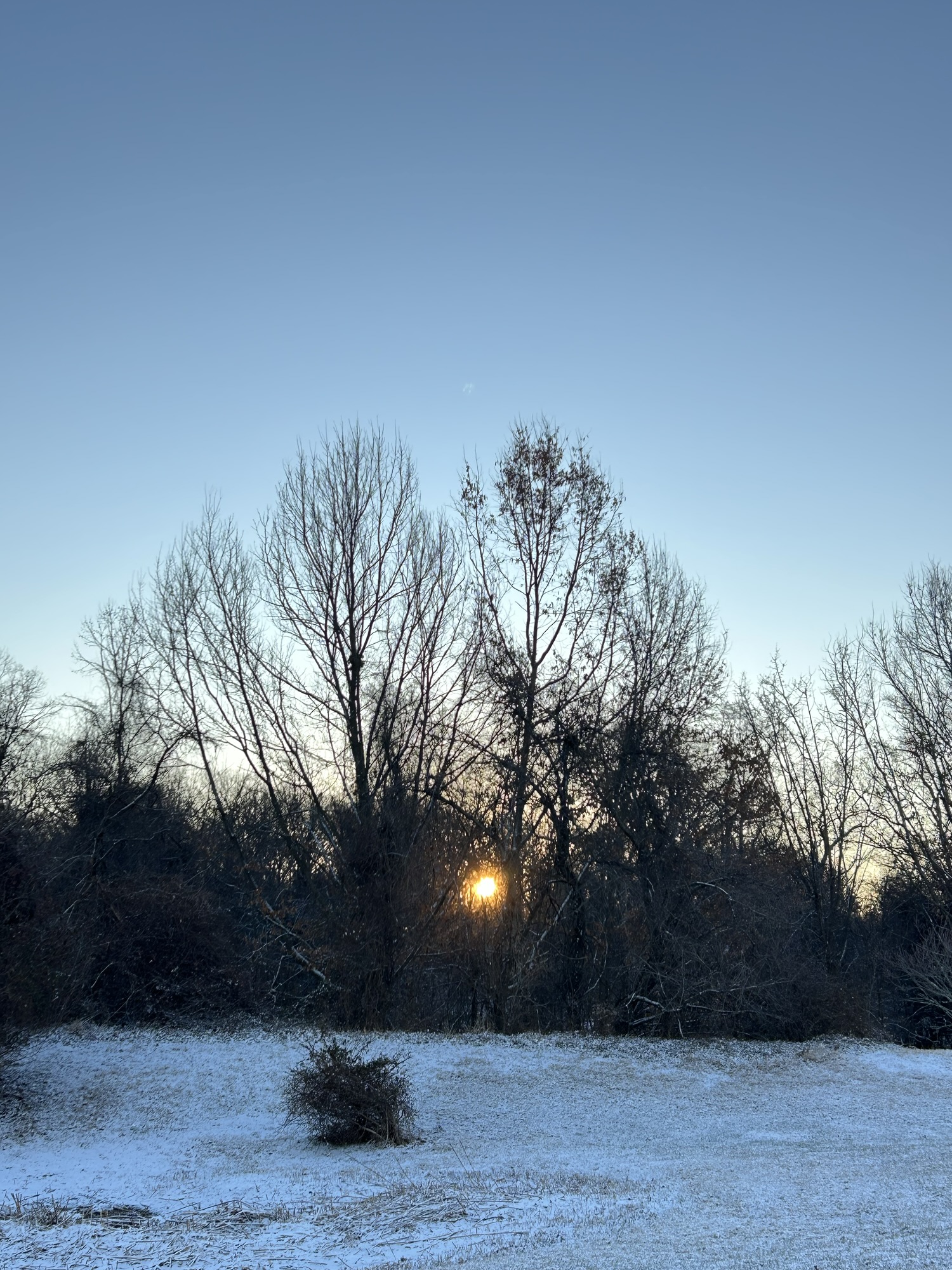sunrise in the snow.